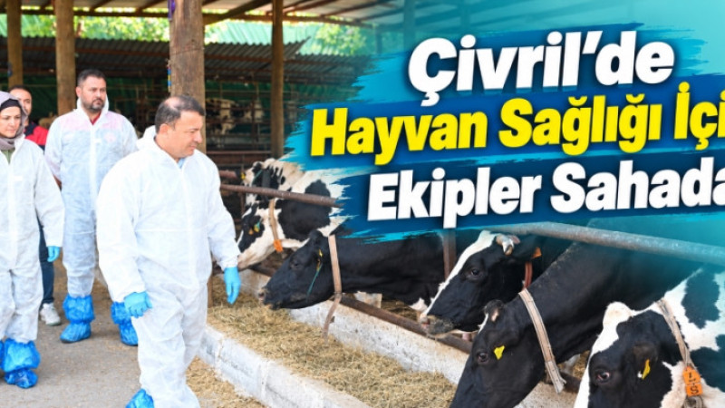 Çivril'de Güz Dönemi Şap Aşısı Seferberliği Başladı