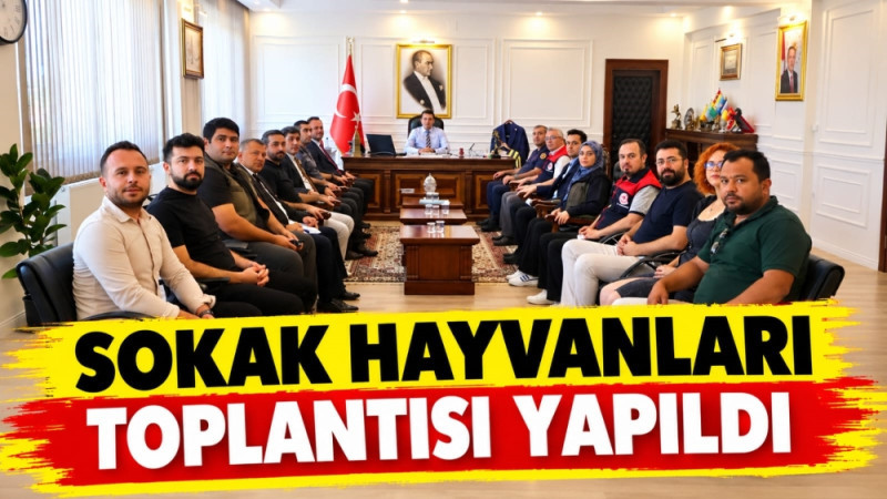 Çivril'de Kaymakam Başkanlığında Sokak Hayvanları Toplantısı 