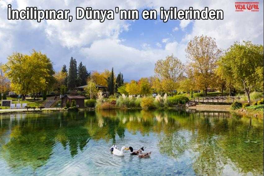 TÜRKİYE'DEKİ İLK VE TEK YEŞİL BAYRAK İNCİLİPINAR'DA