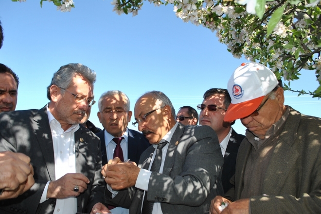 AK PARTİ MİLLETVEKİLİ YÜKSEL SOĞUKTAN ETKİLENEN BAHÇELERİ İNCELEDİ