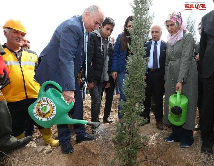 830.000 FİDAN TOPRAKLA BULUŞUYOR