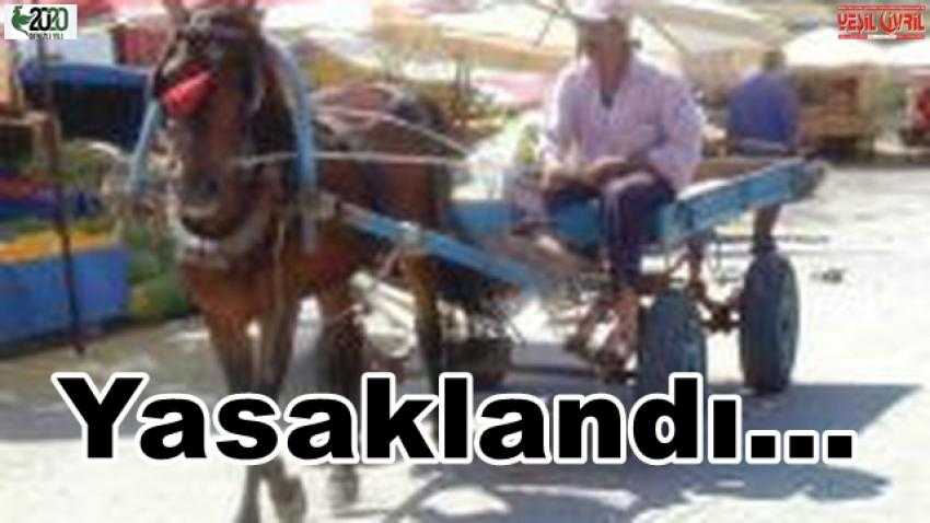 ŞEHİR İÇİNE GİRMELERİ YASAKLANDI