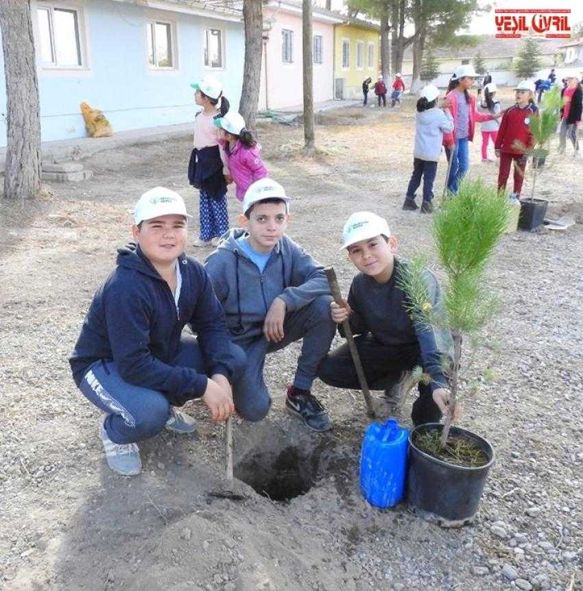 ÇİVRİL’DE 300 FİDAN TOPRAKLA BULUŞTU