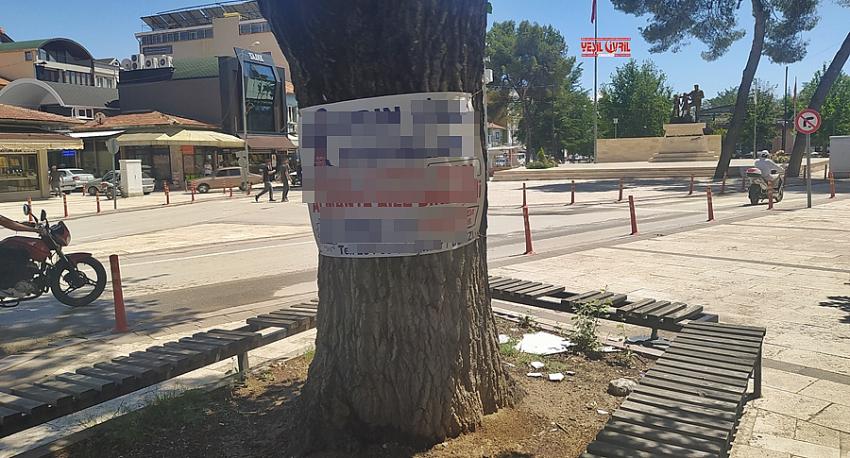 AĞAÇLARI REKLAM PANOSU YAPTILAR
