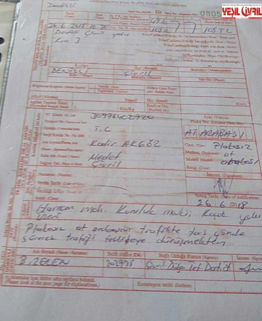 AT ARABASINA ‘TRAFİK CEZASI’ KESİLDİ.