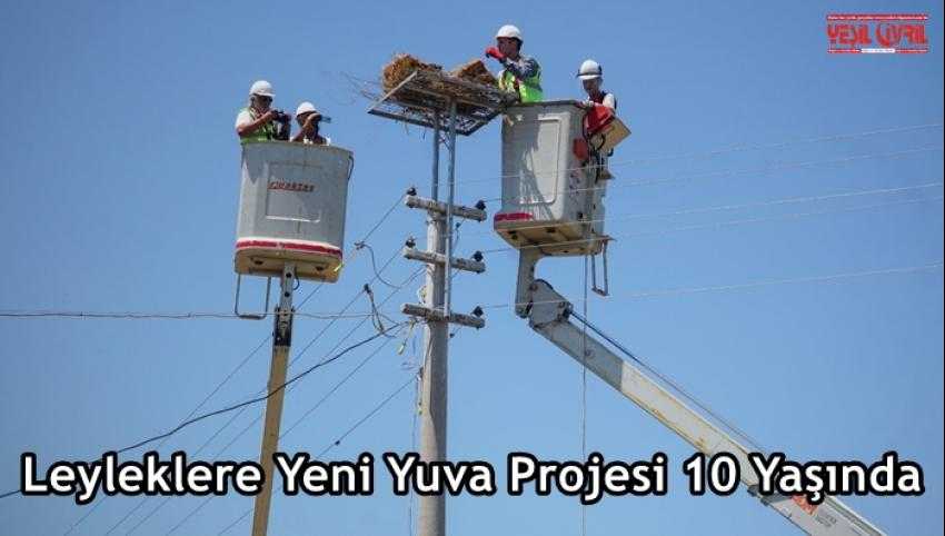ADM 13 BİN LEYLEĞE YUVA OLUYOR
