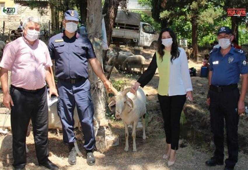 KAYMAKAM HAYVAN PAZARINI DENETLEDİ.