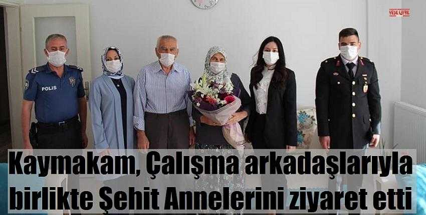 KAYMAKAM ŞEHİT ANNELERİNİ UNUTMADI