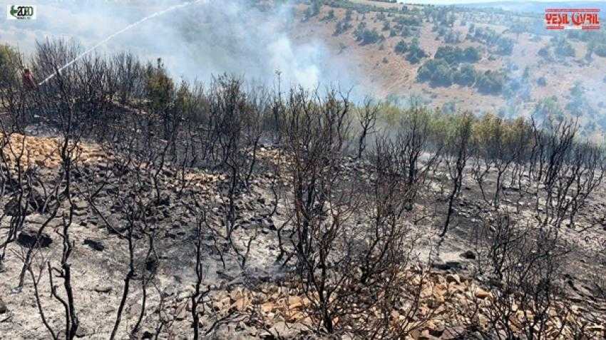 ORMAN YANGININDA 50 DEKAR ALAN ZARAR GÖRDÜ