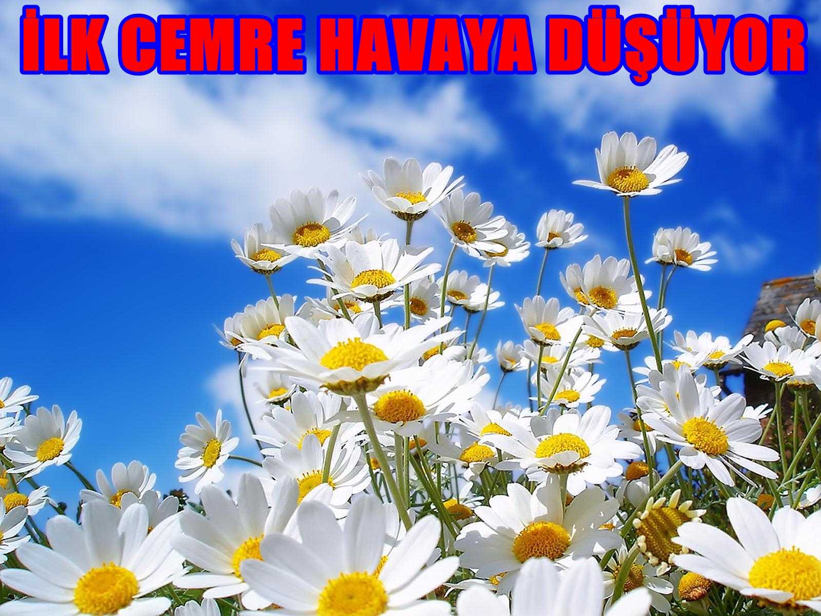 İLK CEMRE YARIN DÜŞÜYOR