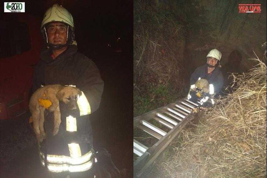 YAVRU KÖPEĞİ İTFAİYE KURTARDI