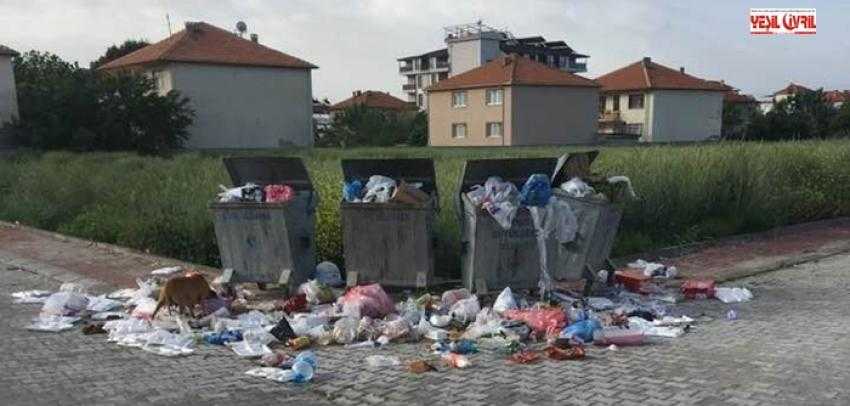 TOPLANMAYAN ÇÖPLER KİRLİLİĞE NEDEN OLUYOR.