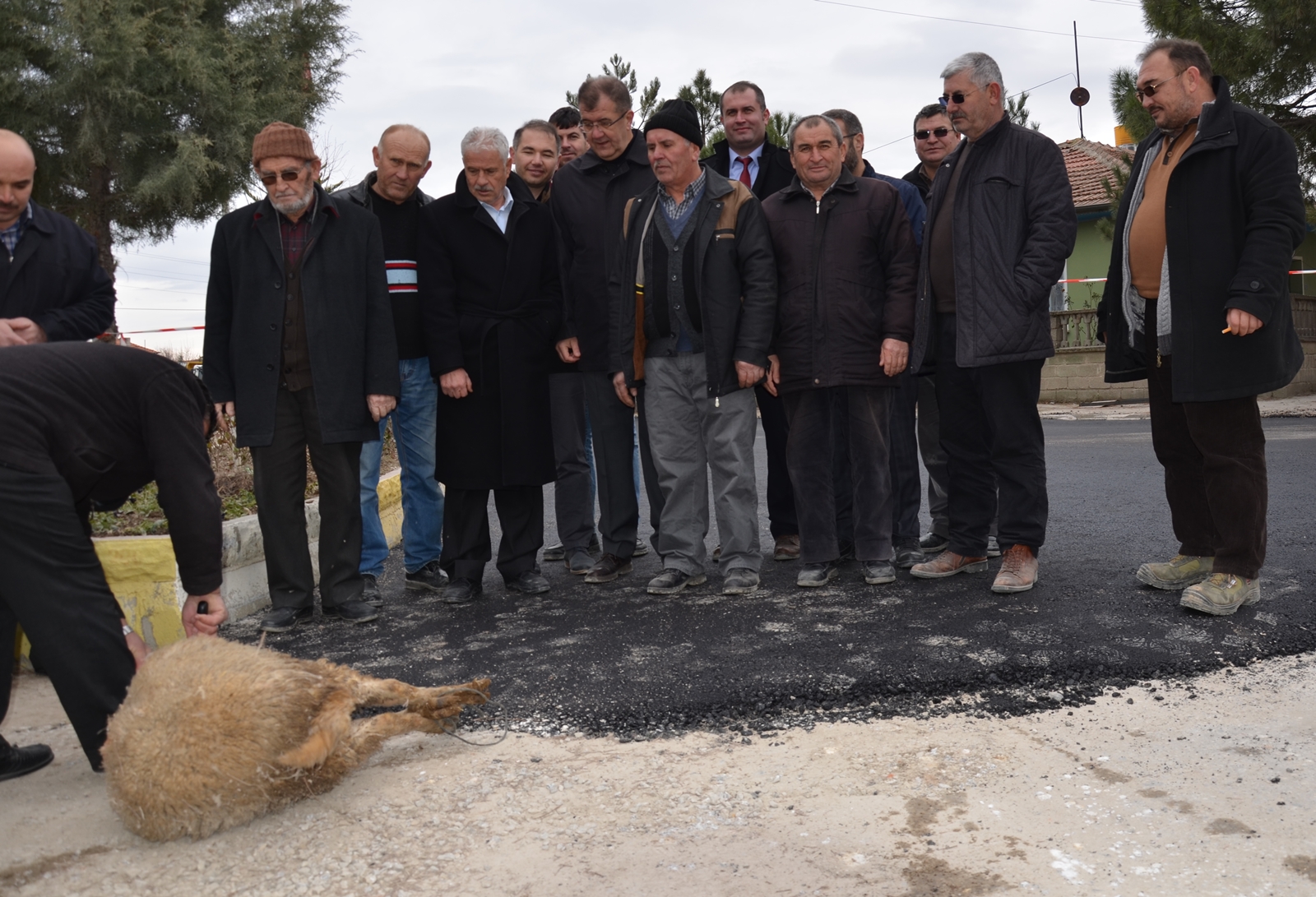 ASFALTA KURBANLI TEŞEKKÜR