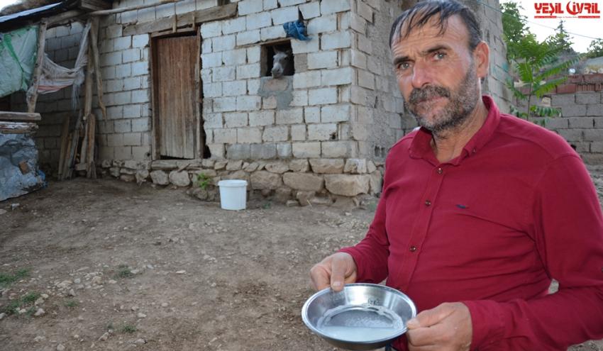 EŞEK SÜTÜ İLE ŞİFA DAĞITIYOR