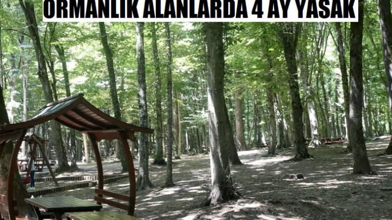 ORMANLIK ALANLARDA PİKNİK VE ATEŞ YAKMAK YASAKLANDI