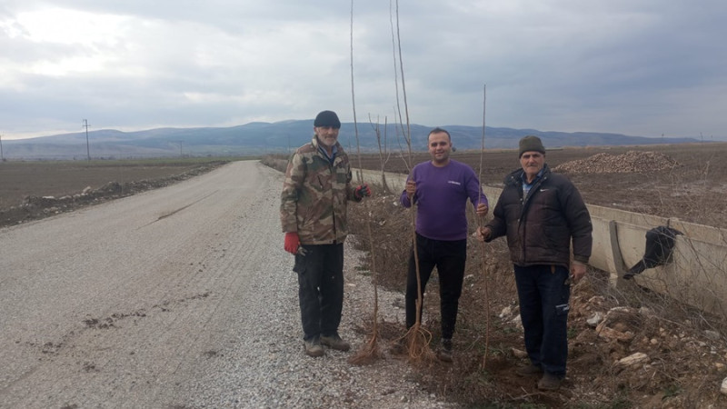 İMECE İLE 1200 AĞAÇ FİDANI DİKTİLER
