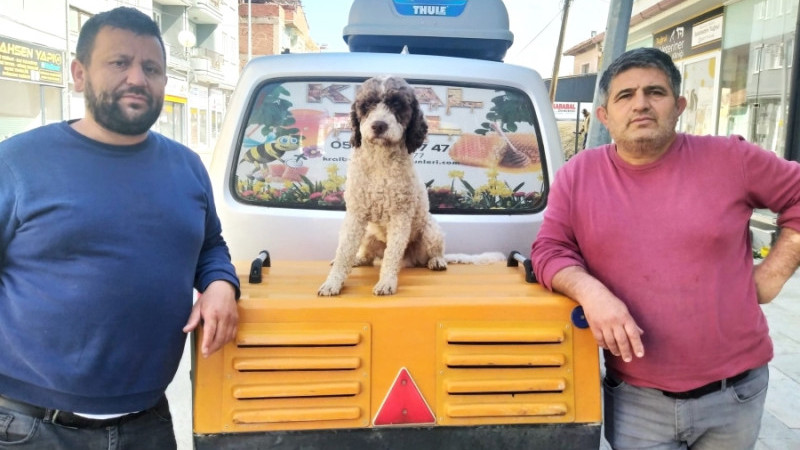 SAMSUN'DAN GELDİ SİVASLI'DA KAYBOLDU ÇİVRİL'DE BULUNDU