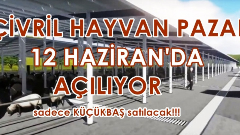 KURBAN BAYRAMI ÖNCESİ BESİCİYİ SEVİNDİREN HABER