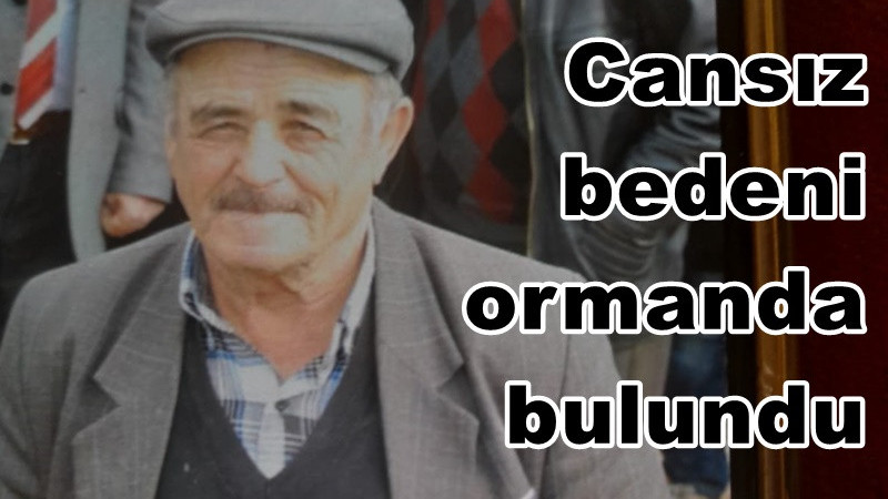 ODUN KESMEK İÇİN GİTTİ ORMANDA ÖLÜ BULUNDU