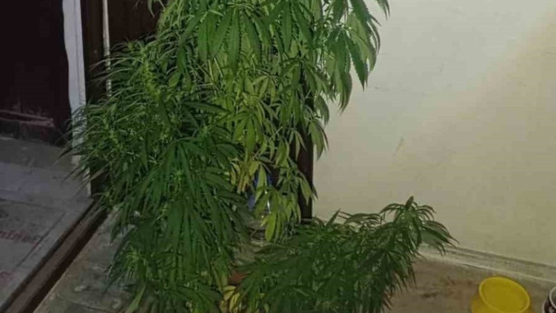 ÇİVRİL'DE İKİ EVE NARKOTİK BASKINI YAPILDI