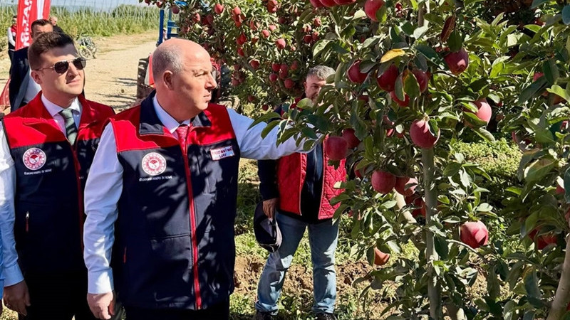 Denizli Valisi Ömer Faruk Coşkun Çivril'de Elma Hasadı Yaptı