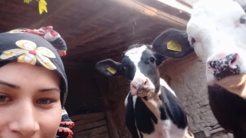 Çivril'de İki Çocuk Annesi Traktörün Altında Kaldı