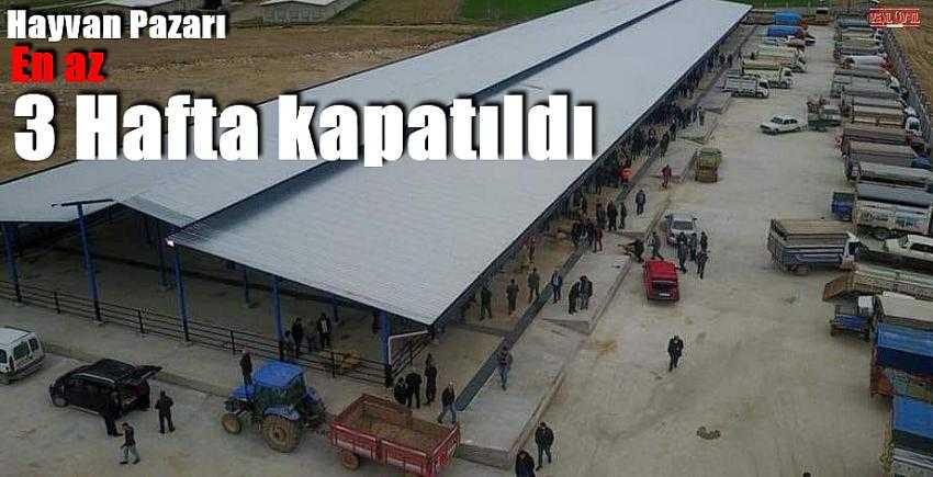 HAYVAN PAZARI KAPATILDI