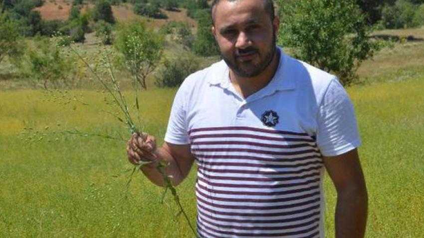 JET YAKITI 'KETENCİK OTU' İÇİN ÜRETİME GEÇTİ