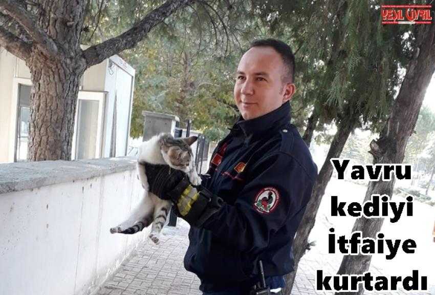 AĞACA ÇIKAN YAVRU KEDİYİ İTFAİYECİLER İNDİRDİ