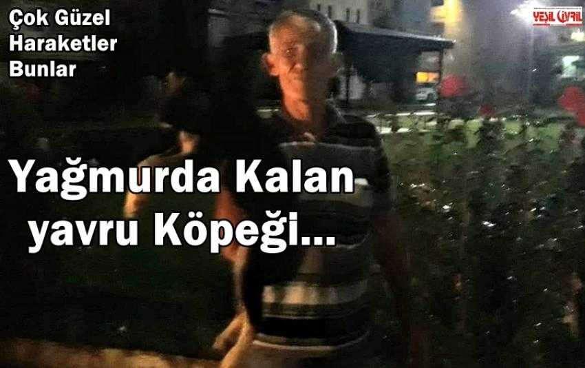 YAĞMURDA KALAN YAVRU KÖPEĞİ BARINAĞA ALDILAR