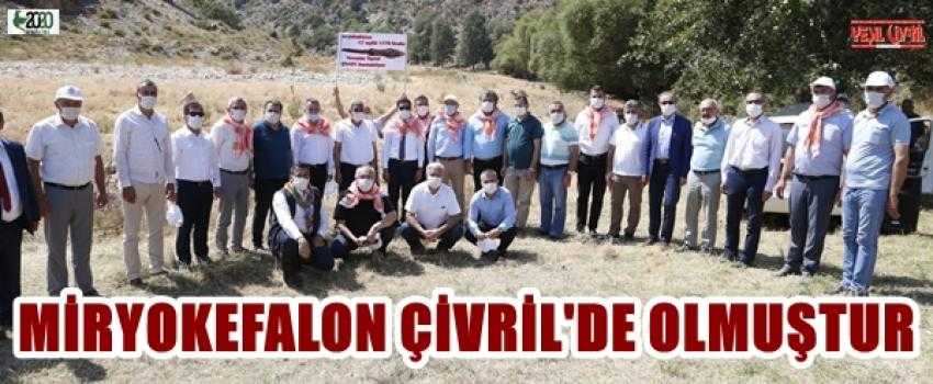 MİRYOKEFALON ÇİVRİL’DE OLMUŞTUR
