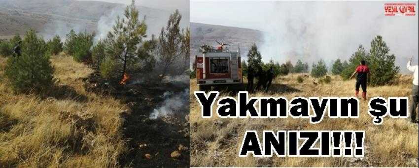 ANIZ YANGINI ORMANA SIÇRADI 4 HEKTAR ORMAN YANDI