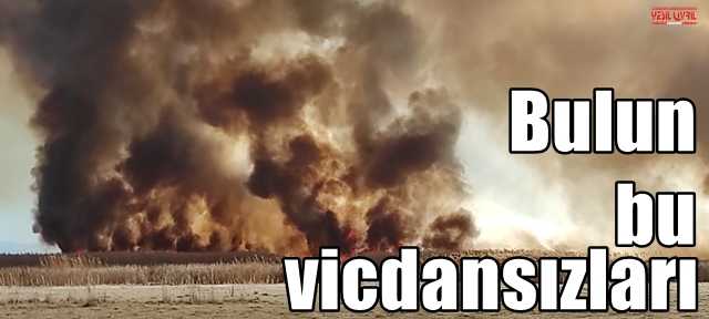 HER YIL AYNI DÖNEMDE YAKIYORLAR
