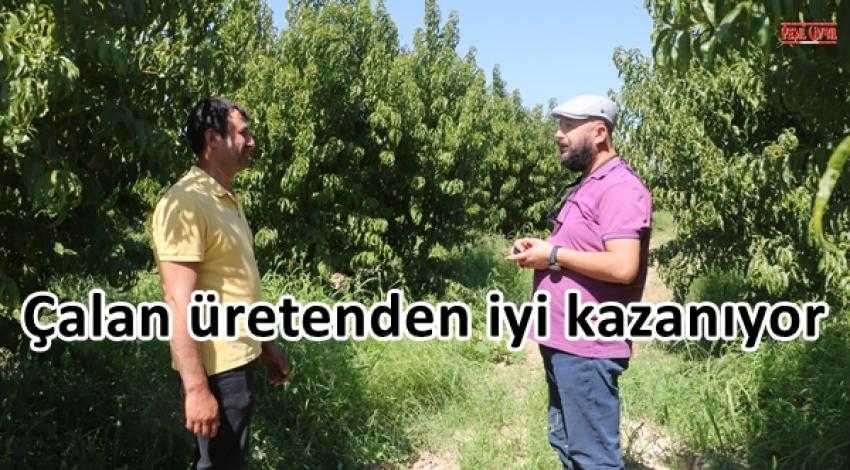 HIRSIZLAR ÜRETİCİDEN ÇOK KAZANIYOR
