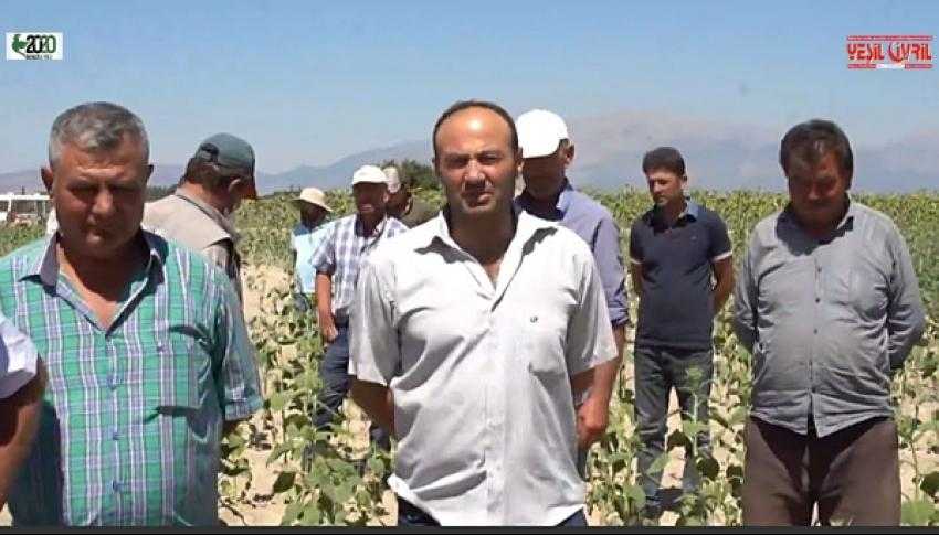 PEŞİN ÖDEDİLER AMA SULAMA YAPAMIYORLAR