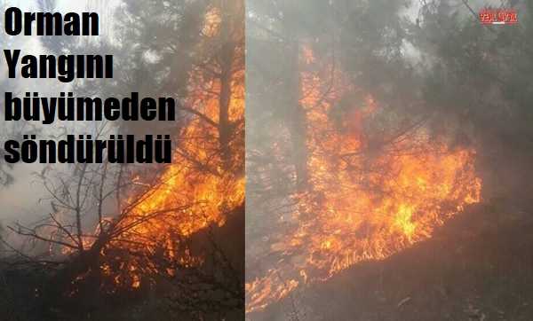ORMAN YANGININA KÖYLÜLER MÜDAHALE ETTİ