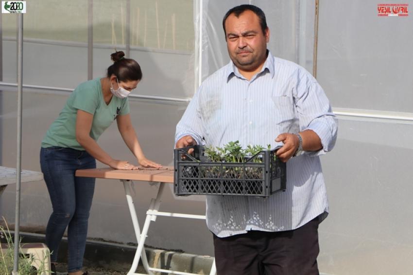 BELEDİYENİN YERLİ TOHUMLARINA BÜYÜK İLGİ