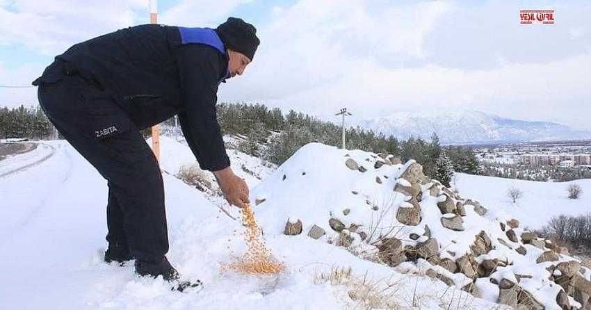 ÇİVRİL BELEDİYESİ YABAN HAYVANLAR İÇİN YEM BIRAKTI